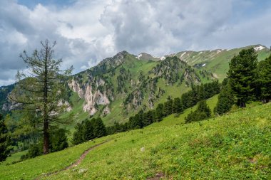 Yürüyüş yolu. Uzak yeşil dağların muhteşem manzarası. Güneşli bir günde dağlık bölgede vadiden geçen patika. Muhteşem yeşil doğa manzarası.