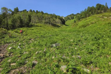 Güneşli yaz gününde Eko Dağı yolunda büyük sırt çantalı bir erkek turist gezintisi. Sıcak kıyafetler giyen erkek, orman parkında yürüyor, serin Alpler soluyor, güzel manzaralar seyrediyor.