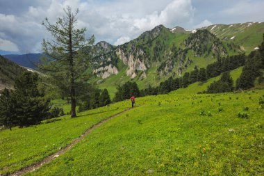 Güneşli yaz gününde, Eko Dağı yolunda uzun sırt çantalı, gezici bir erkek turist. Erkek, kalın giysiler içinde orman parkında yürüyor, serin Alpler soluyor, gerçek manzara..