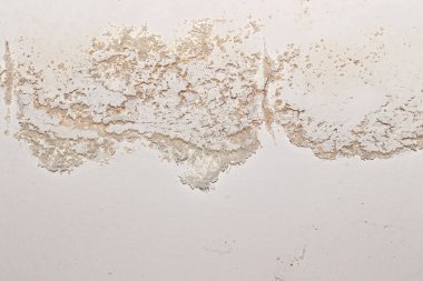 Rutubetli bina yüzeyindeki iç efloresans, iç duvar boyasına zarar veren mineral tuzu kristalini gösteriyor.