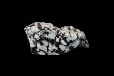 Closeup natural rough snowflake obsidian on dark background. A volcanic rock with cristobalite crystals inclusions. (selective focus) clipart