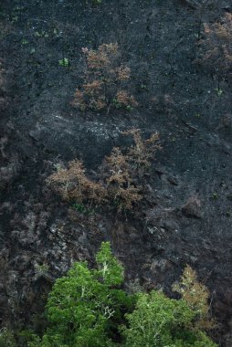 Temmuz 2022 'de, kayıtlardaki en kuru ve en sıcak yazlardan birinde, Lugo, Galiçya' daki Serra do Courel 'de iki hafta süren yıkıcı bir yangın yaşandı. Yüksek ekolojik değeri olan ve aynı zamanda UNESCO Geopark olan bir yer. Bariz yıkıma rağmen