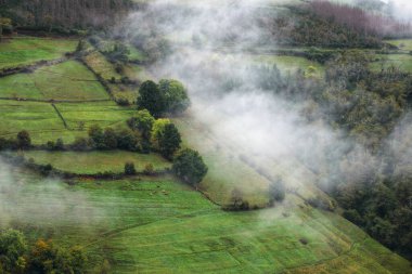 Patches of mist float across grasslands and forests in the Ancares Mountain Range Cervantes Lugo Galicia