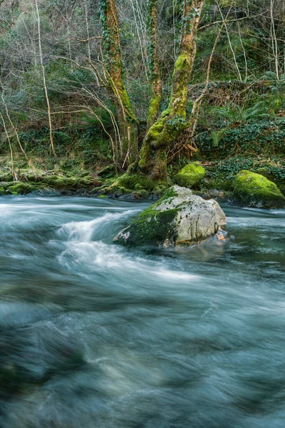 Strong and cold current of water in a clean river in the Courel Mountains Unesco Geopark in Lugo Galicia