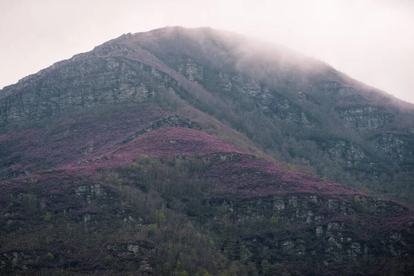 Niebla Eleva Monte Oribio Revelando Las Laderas Púrpuras Floración Pagana — Foto de Stock