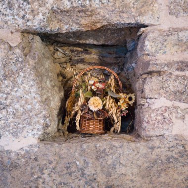 Lugo, Galiçya 'da bir kır evinin duvarında kuru çiçek aranjmanı olan sepet.
