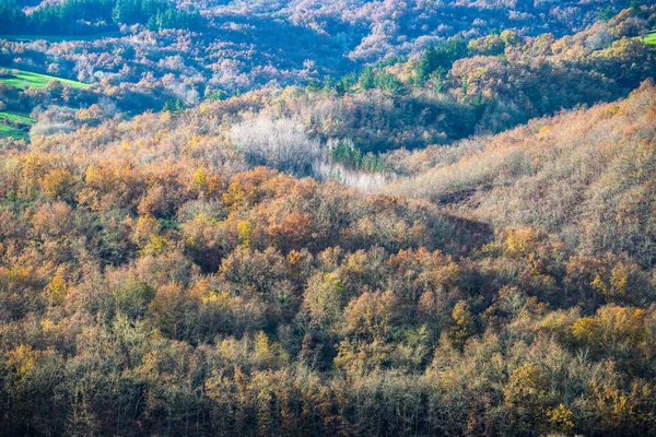 Jasny Listopadowy Dzień Nad Szerokimi Lasami Łańcuchu Górskim Ancares Cervantes — Zdjęcie stockowe