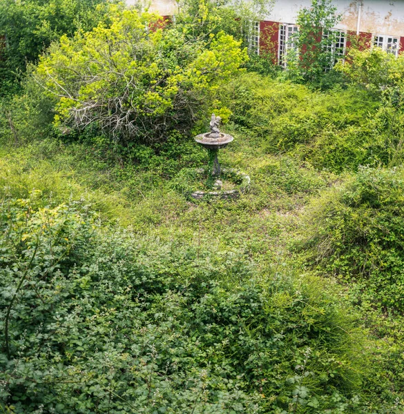 stock image The brambles almost completely cover an old interior patio with a stone fountain in an abandoned hospital in Castro in Lugo, Galicia