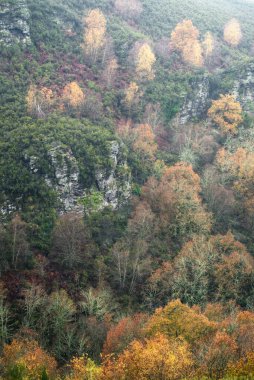 Sonbahar çiselemeleri arasında, Lugo Galiçya 'daki Unesco Geopark' ın Courel dağlarında granit kayalıkları olan bir vadideki kavak ve meşe manzaraları