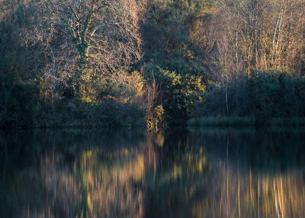 Oak trees and thick vegetation reflected in the calm waters of a lagoon in Riocaldo Begonte Lugo Galicia