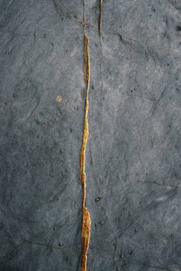 Güzel altın pirit damarı Ribadeo Lugo Galiçya 'da bir plajda mavi bir levha boyunca uzanır.