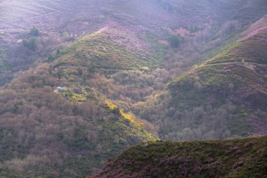 İlkbaharın ilk işaretleri Courel Dağları 'ndaki manzara Folgoso ve Seoane Lugo Galiçya' daki Unesco Geopark.