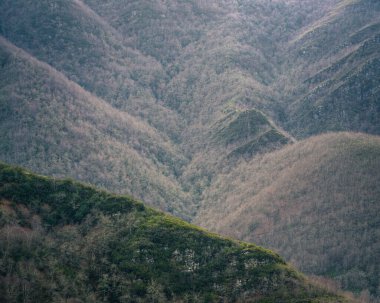 Folgoso 'daki Unesco Geopark ve Seoane Lugo Galiçya' daki Courel Dağları 'nın büyük sırtındaki tüylü orman kürkü.