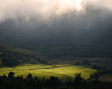 Sunlight filters through a gap in dense fog and briefly illuminates a meadow in the Xistral Mountain Range in Lugo Galicia clipart