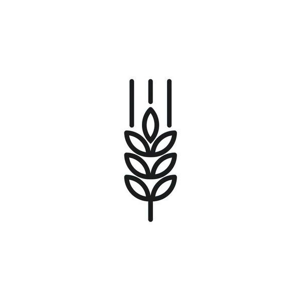 Vector Outline Farm Wheat Ears Icon. Whole Grain Line Symbol Illustration for Organic Eco Business, Farming, Beer, Bakery. Gluten Free Logo.