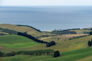 Yeni Zelanda: Otago sahilindeki Puketapu Dağı 'ndan nesli tükenmekte olan sarı gözlü penguen (hoiho, Megadyptes antipodları) için ev sahipliği yapan Tavora Reserve manzarası. Pasifik Okyanusu arka planda..