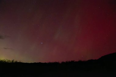 Yeni Zelanda 'nın Güney Adası' ndaki Matakaea (Shag Point) üzerinde Aurora Australis 'in kırmızı parıltısına karşı sarı ışınlar Mayıs 2024' te yaygın görülen aurora sırasında.
