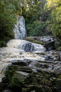 McLeans waterfall in the Catlins Conservation Park, New Zealand. clipart