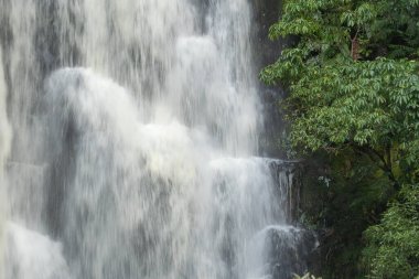 McLeans waterfall in the Catlins Conservation Park, New Zealand.