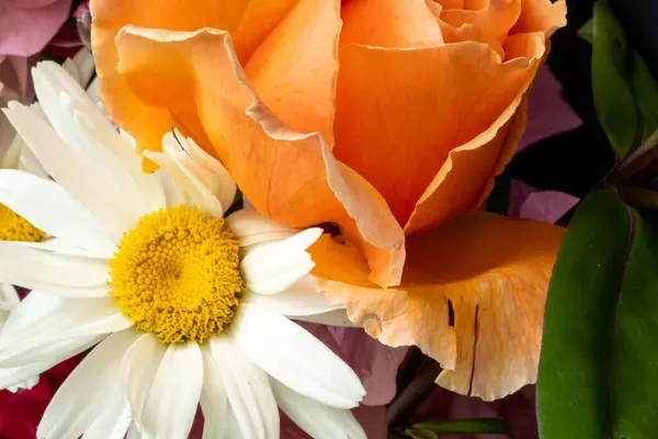 Yıldız çiçeği ve çiçek buketi içinde gül yakın çekim. Yazın bir kır evinin bahçesinden çiçek aranjmanı.