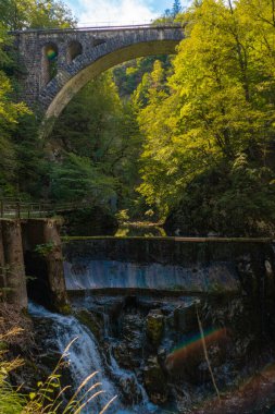 SLOVENIA, Vintgar - Slovenya 'nın doğal bir harikası olan güzel Vintgar Geçidi' nin manzarası, birçok şelale ve akıntıyla.