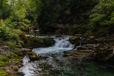 beautiful waterfall in the forest, along Vintgar Gorge