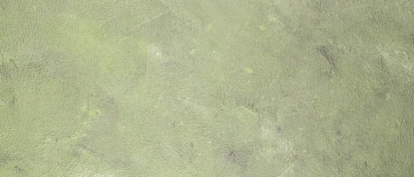 Abstracte Groene Achtergrond Grunge Textuur Geschilderd Oppervlak Aarde Groene Kleur — Stockfoto