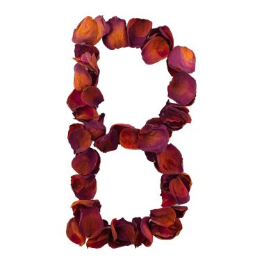 Letter B from dry red rose petals, isolated on white background. Nature typography, english alphabet. Design element from rose petals