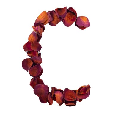 Letter C from dry red rose petals, isolated on white background. Nature typography, english alphabet. Design element from rose petals