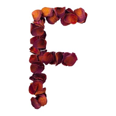Letter F from dry red rose petals, isolated on white background. Nature typography, english alphabet. Design element from rose petals