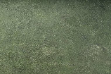 Yeşil boyalı duvar dokusu. Boş ve temiz yeşil beton duvar