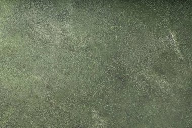 Yeşil boyalı duvar dokusu. Boş ve temiz yeşil beton duvar