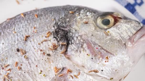 Baixo Mar Dorado Fresco Branco Peixe Cheio Recheado Com Limão — Vídeo de Stock
