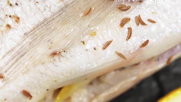 Dorado Fisk Med Kryddor Matlagning Tallriken Luta Upp Kamerarörelse — Stockvideo