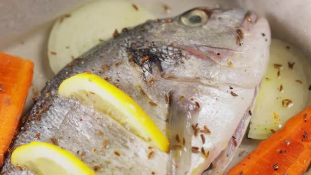 Dorado Fisch Auf Backblech Mit Gemüse Zitrone Und Gewürzen Kippbewegung — Stockvideo