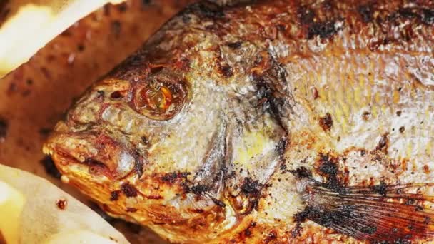 Smażona Dorado Ryba Pergaminie Zbliżenie Strzału — Wideo stockowe