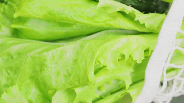 Verduras Verdes Frescas Bolsa Malla Blanca Cerca — Vídeos de Stock