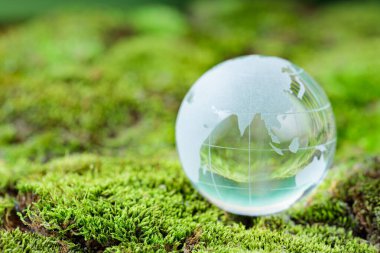 Dünya Günü Kutlaması, Glass Globe Küresel Korunmayı Sembolize Ediyor