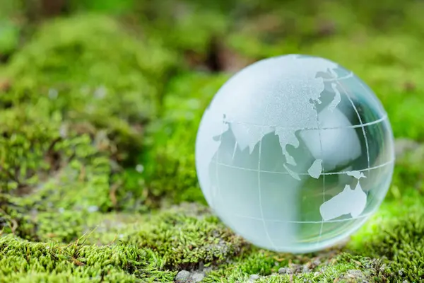 Transparent Glass Globe Resting on Green Grass for Earth Day Celebration
