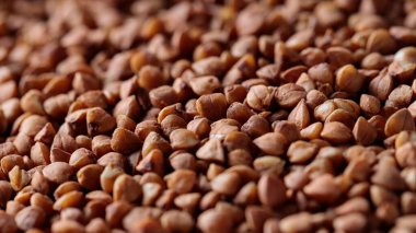 Karabuğday Büyür Yakın çekim, Makro Vuruş