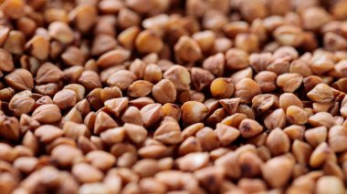 Karabuğday Büyür Yakın çekim, Makro Vuruş