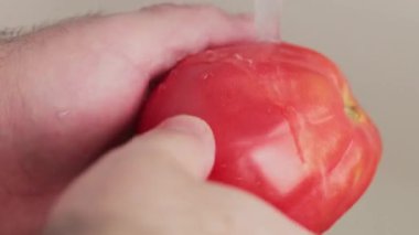 Man 's Hand' de akan musluk suyunun altında pembe domates. Yakın çekim.