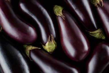 Koyu Ahşap Tahta Tahtalar, Hasat ve Kırsal Tarladan Masaya Kavramında Taze Patlıcan Yığını