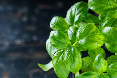 Taze Yeşil Basil Koyu Ahşap Arkaplanda Yapraklar, Üst Görünüm, Boşluğu Kopyala