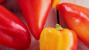 Organik Renkli Çiğ Kırmızı, Turuncu ve Sarı Çan Biberleri, Yerel Çiftlik Hasadı, Üst Görünüm Kamera Hareketi