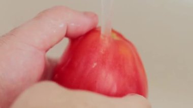 Akan Suyun Altında Olgun Pembe Domatesleri Yıkan Adam, Organik Çiftlik Gıda Konsepti, Yakın Çekim