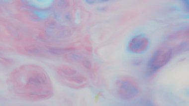Pastel Pembe Boya Hareketi Soyut Sıvı Sanat Arkaplanı Akan Renkli Sıvı Hareketi, Yakın Çekim