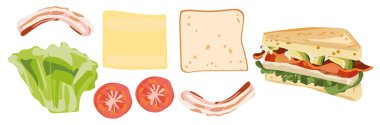 Domates, ekmek, pastırma, peynir ve marullu sağlıklı sandviç. Ekmek üzeri ürün manzarası. Vektör düz çizim, aşçı çizimi, sağlıklı gıda konsepti..