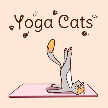 Uluslararası yoga günü, kedi yogası. Yoga pozu ve egzersiz. Renkli düz vektör el çizimi çizimi.