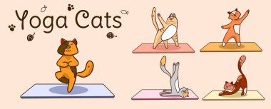 Uluslararası yoga günü. Kediler yoga yapar. Farklı yoga pozları ve egzersizler, renkli düz vektör el çizimi..